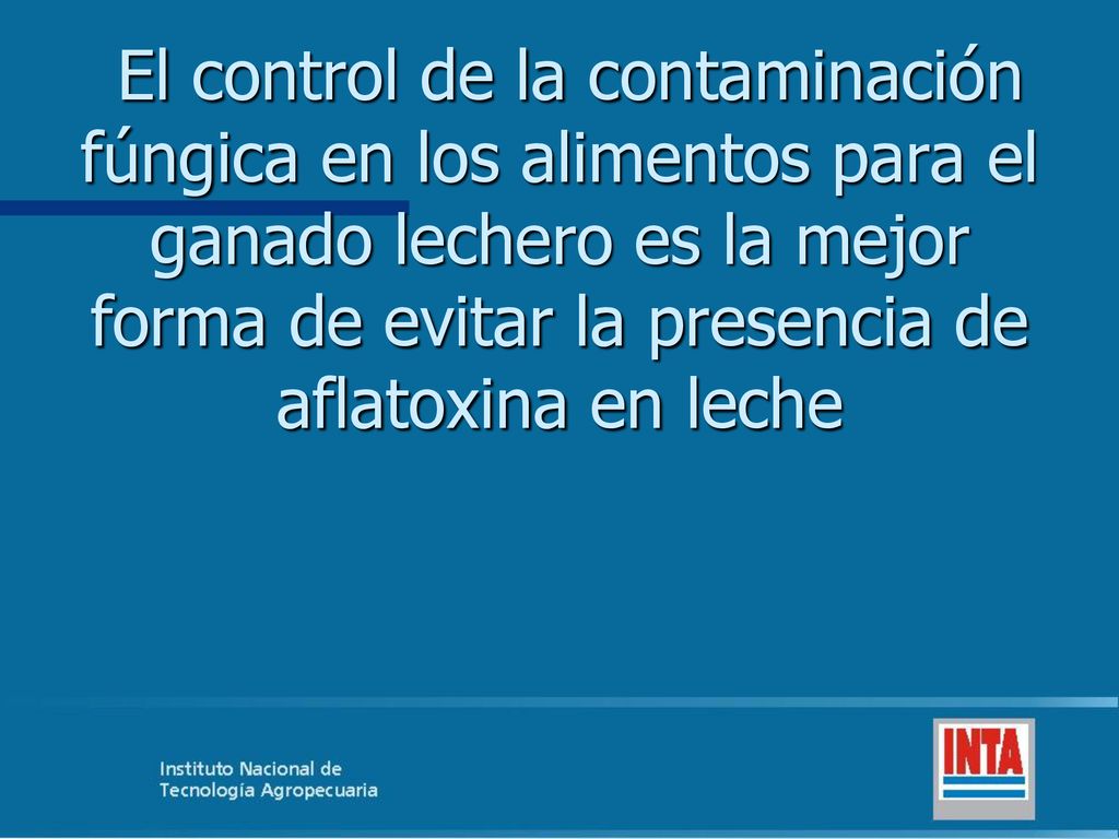 El control de la contaminación fúngica en los alimentos para el ganado lechero es la mejor forma de evitar la presencia de aflatoxina en leche