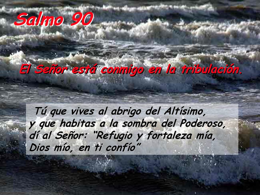 Salmo 90 El Señor está conmigo en la tribulación.