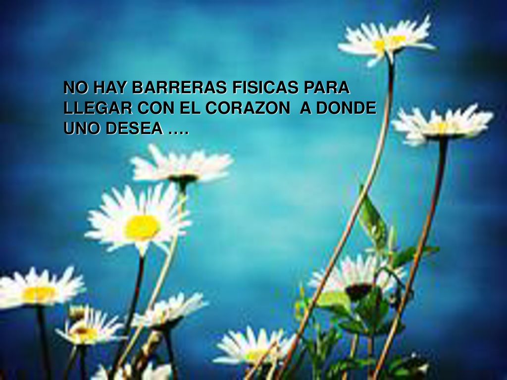 NO HAY BARRERAS FISICAS PARA LLEGAR CON EL CORAZON A DONDE UNO DESEA ….