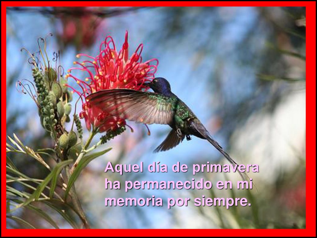 Aquel día de primavera ha permanecido en mi memoria por siempre.