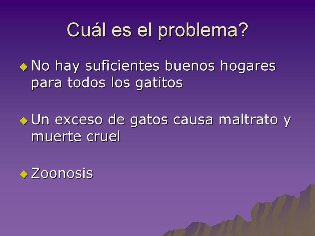 Cuál es el problema No hay suficientes buenos hogares para todos los gatitos. Un exceso de gatos causa maltrato y muerte cruel.