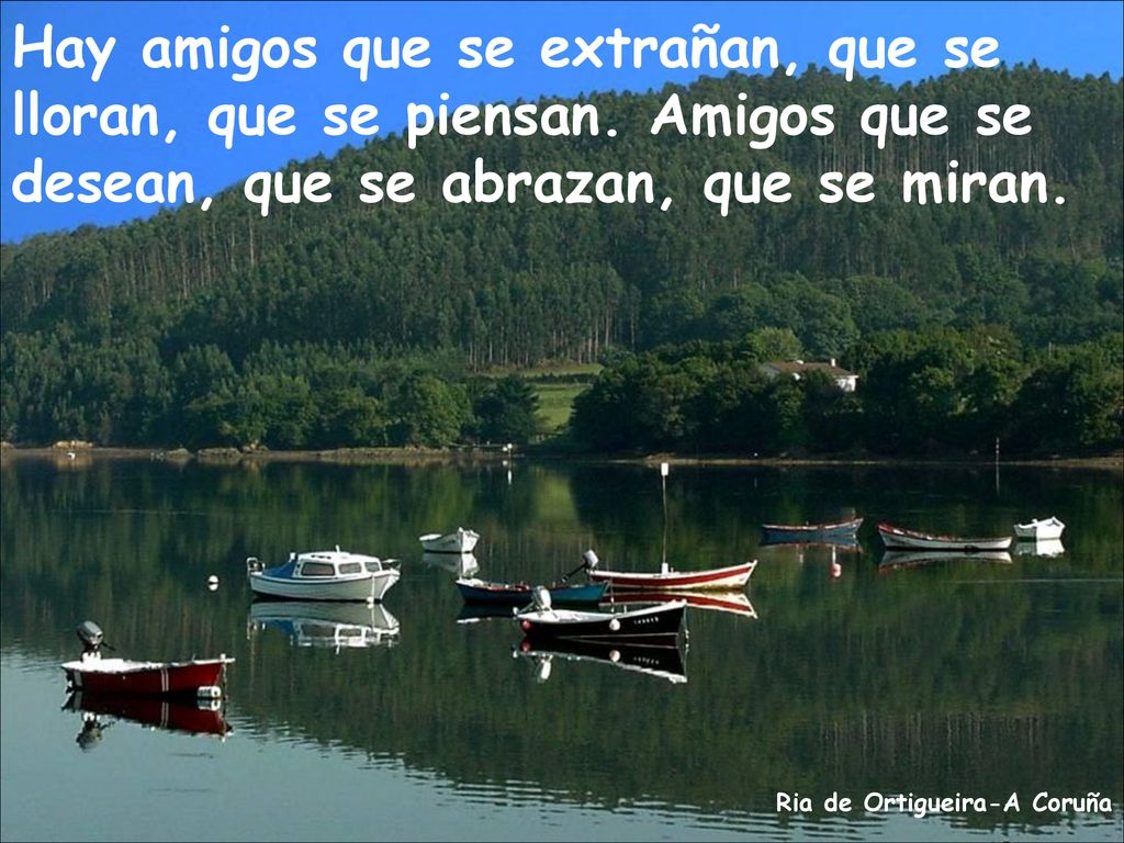 Hay amigos que se extrañan, que se lloran, que se piensan