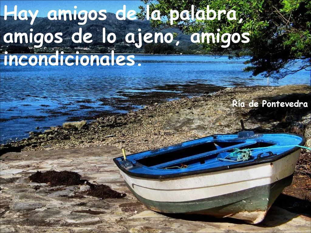 Hay amigos de la palabra, amigos de lo ajeno, amigos incondicionales.