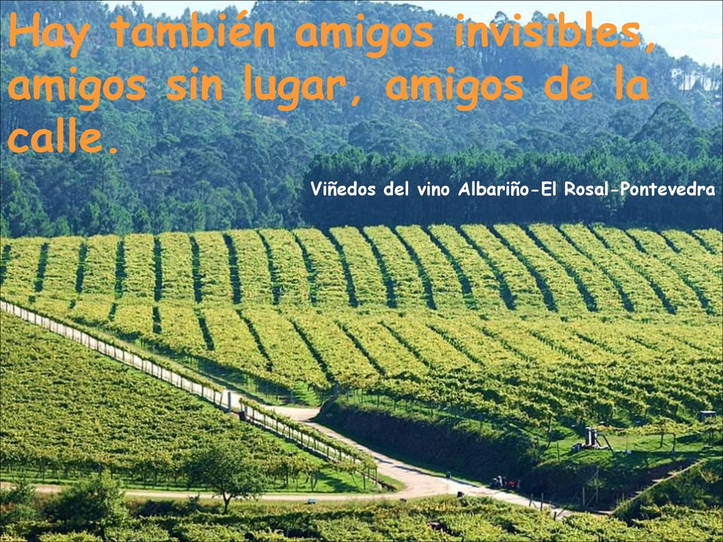Hay también amigos invisibles, amigos sin lugar, amigos de la calle.