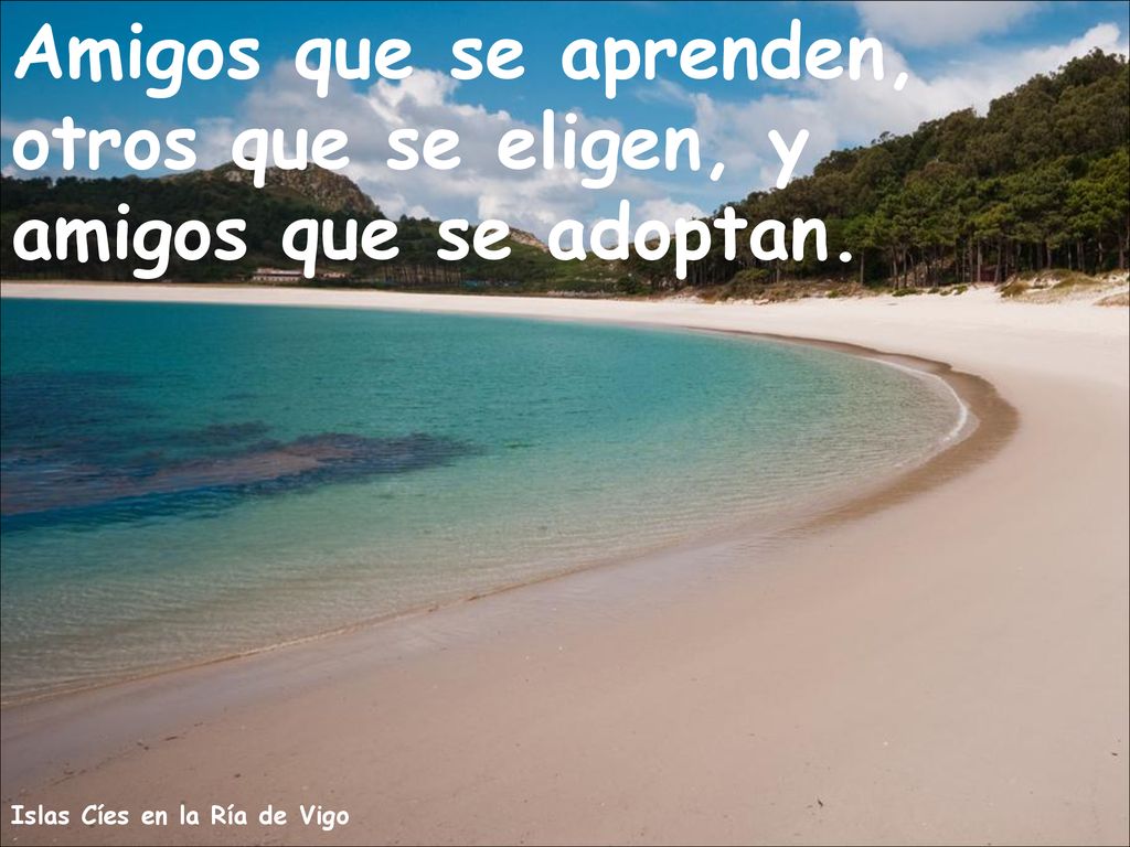 Amigos que se aprenden, otros que se eligen, y amigos que se adoptan.