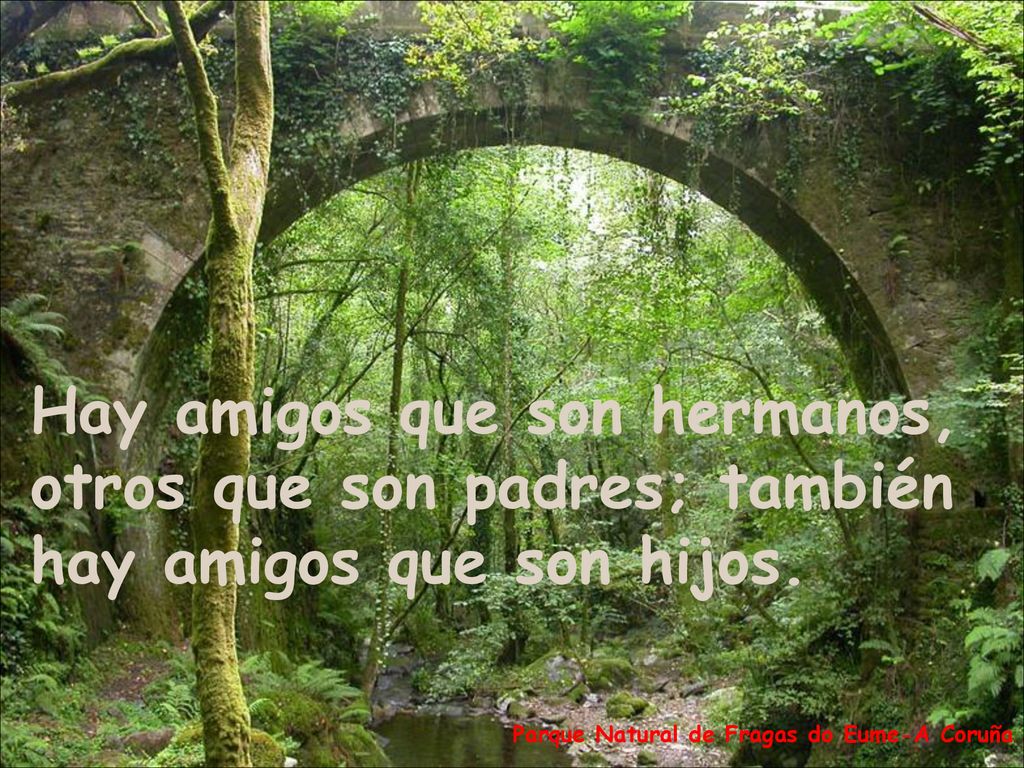 Hay amigos que son hermanos, otros que son padres; también hay amigos que son hijos.