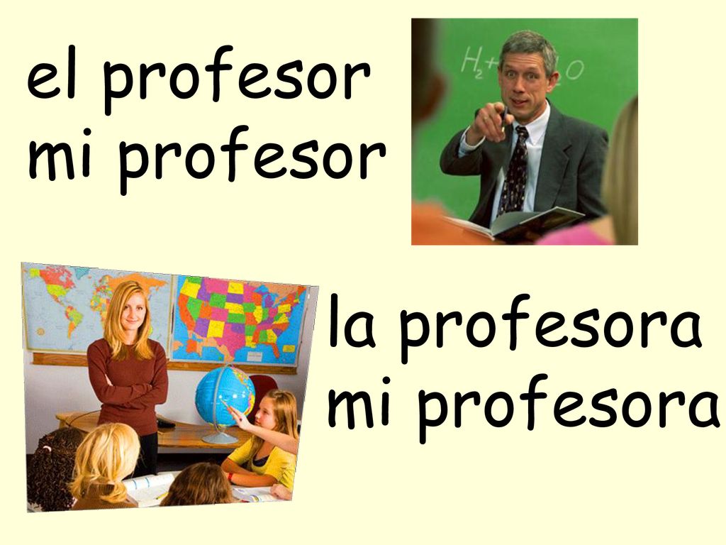 el profesor mi profesor la profesora mi profesora