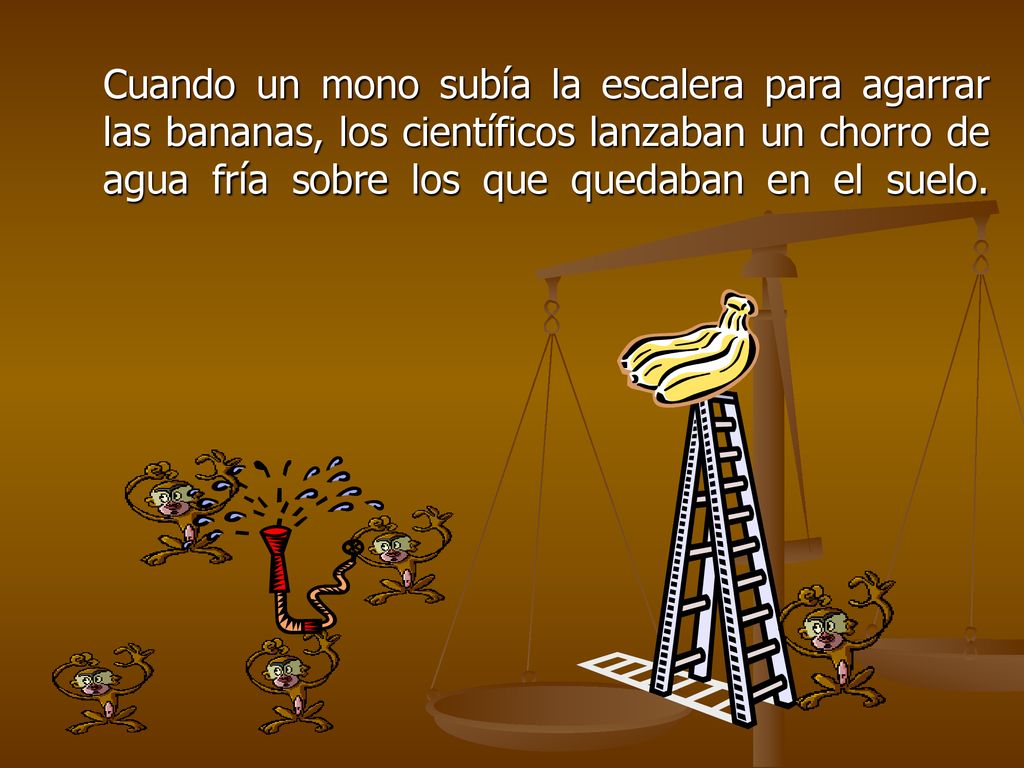 Cuando un mono subía la escalera para agarrar las bananas, los científicos lanzaban un chorro de agua fría sobre los que quedaban en el suelo.