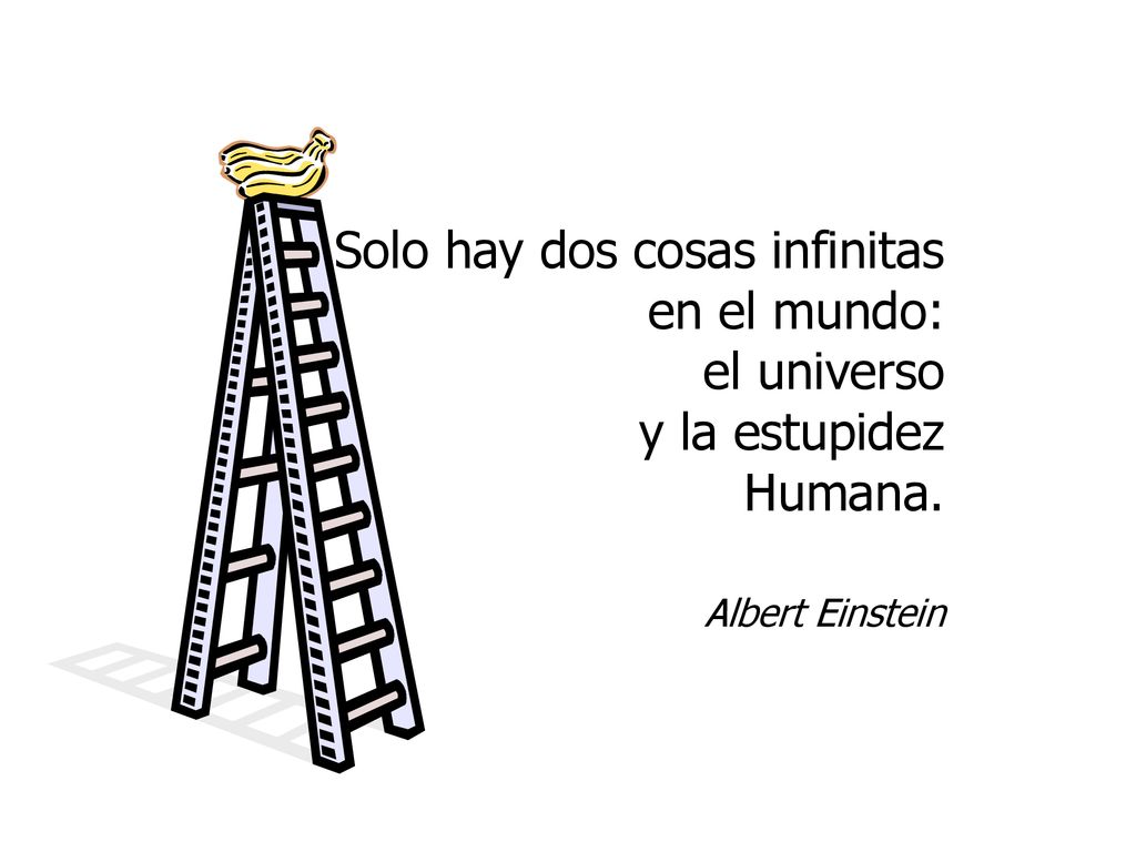 Solo hay dos cosas infinitas en el mundo: el universo y la estupidez