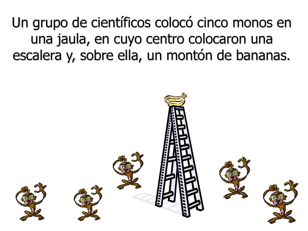 Un grupo de científicos colocó cinco monos en una jaula, en cuyo centro colocaron una escalera y, sobre ella, un montón de bananas.