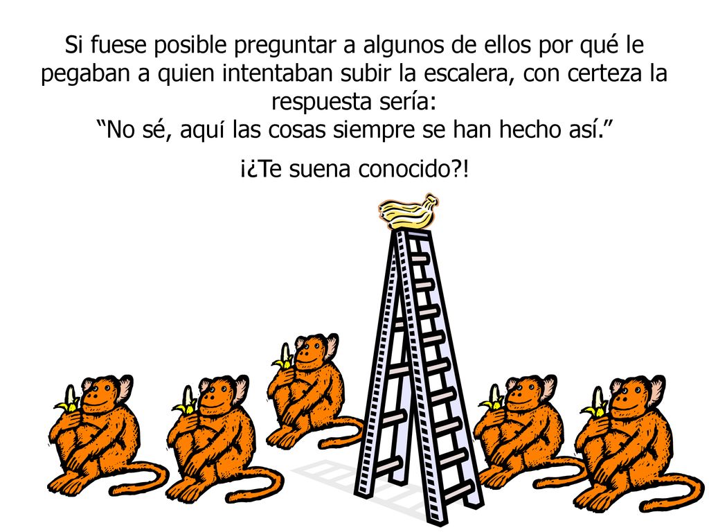 No sé, aquí las cosas siempre se han hecho así.