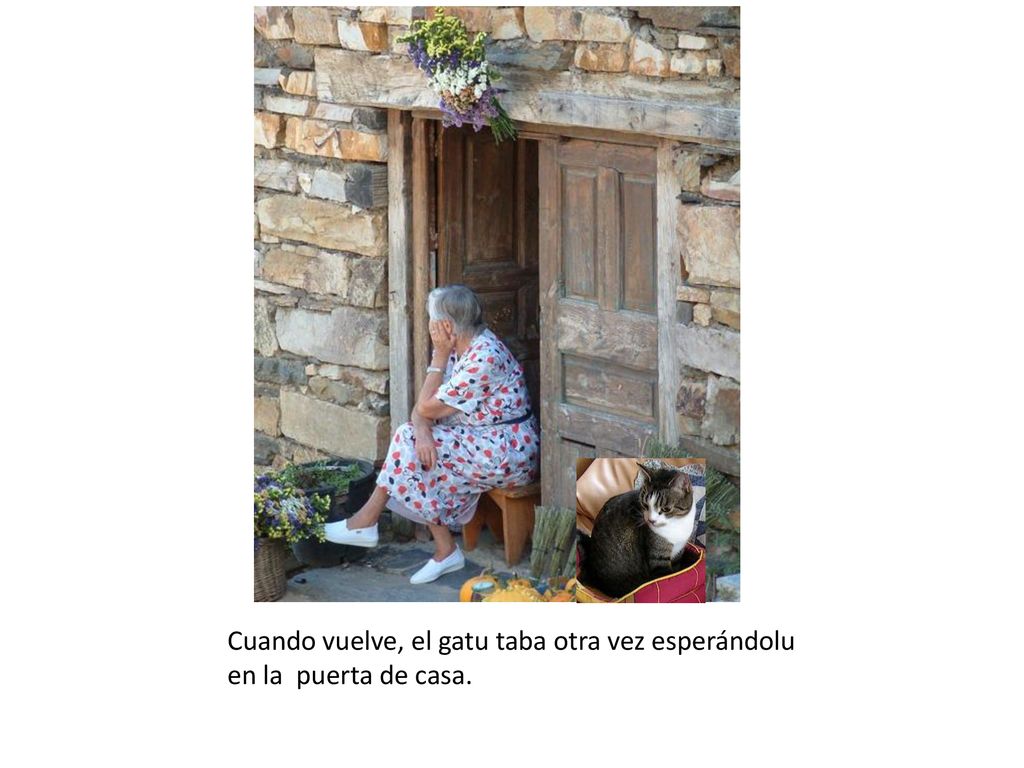 Cuando vuelve, el gatu taba otra vez esperándolu en la puerta de casa.
