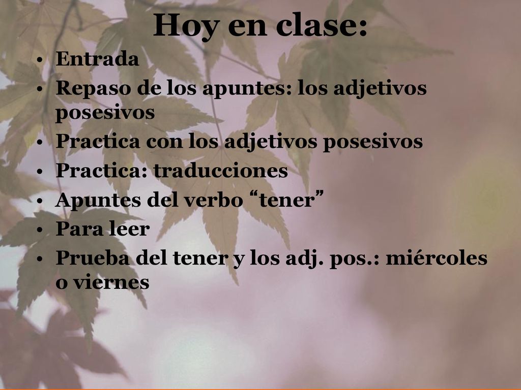 Hoy en clase: Entrada Repaso de los apuntes: los adjetivos posesivos