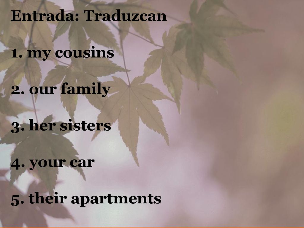 Entrada: Traduzcan 1. my cousins 2. our family 3. her sisters 4