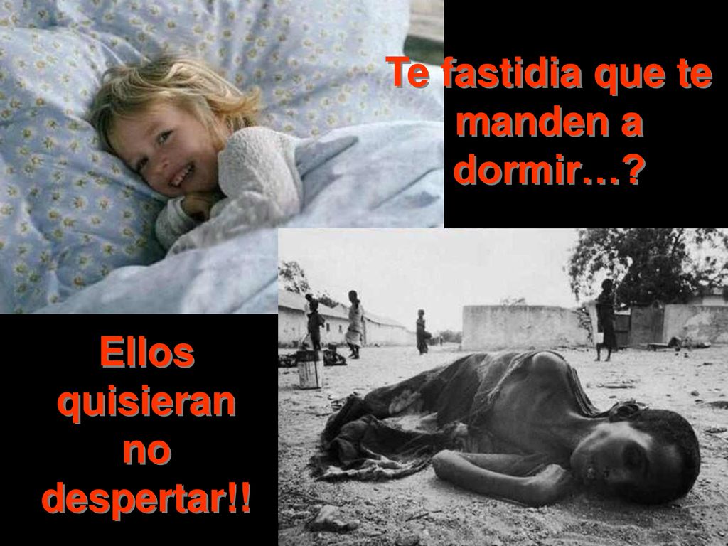 Te fastidia que te manden a dormir… Ellos quisieran no despertar!!