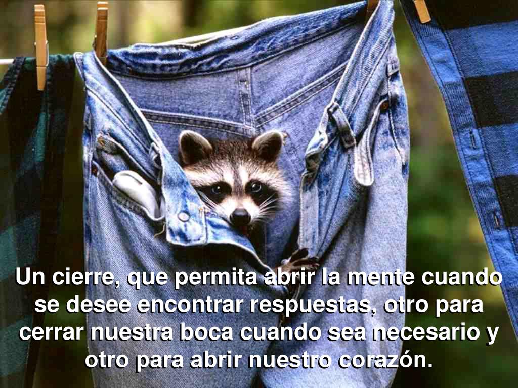 Un cierre, que permita abrir la mente cuando se desee encontrar respuestas, otro para cerrar nuestra boca cuando sea necesario y otro para abrir nuestro corazón.