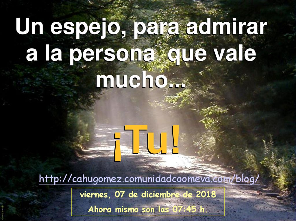 ¡Tu! Un espejo, para admirar a la persona que vale mucho...