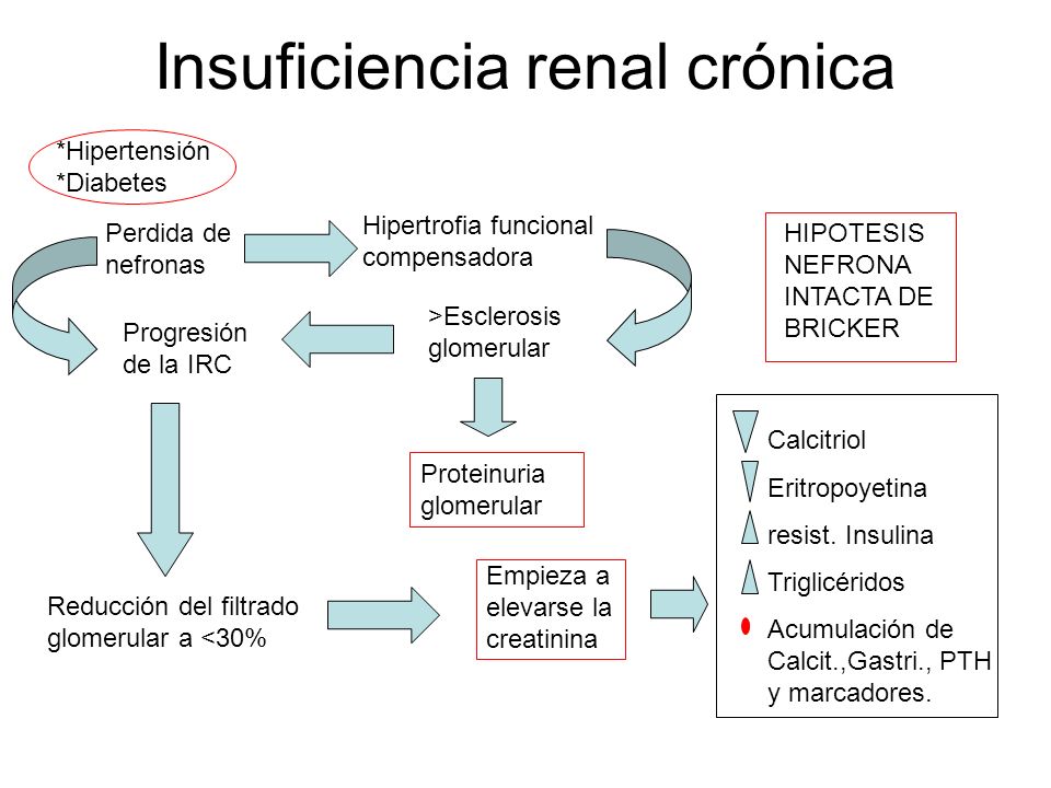 Insuficiencia renal crónica