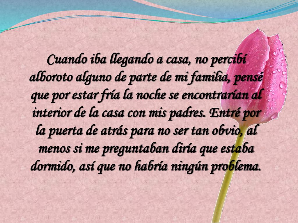 Cuando iba llegando a casa, no percibí alboroto alguno de parte de mi familia, pensé que por estar fría la noche se encontrarían al interior de la casa con mis padres.