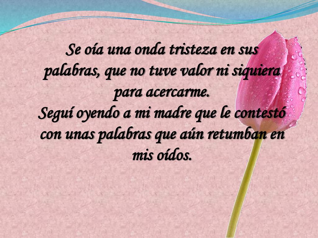 Se oía una onda tristeza en sus palabras, que no tuve valor ni siquiera para acercarme.