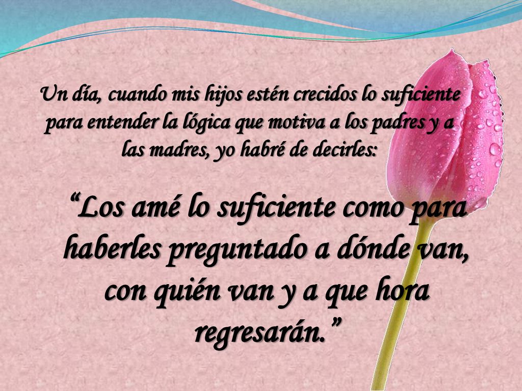 Un día, cuando mis hijos estén crecidos lo suficiente para entender la lógica que motiva a los padres y a las madres, yo habré de decirles: