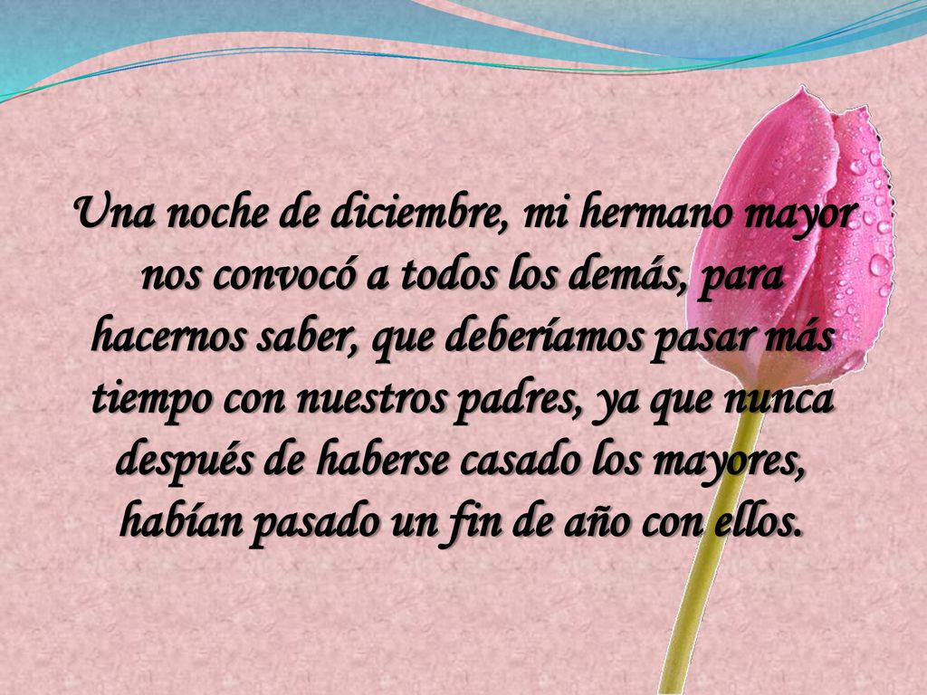 Una noche de diciembre, mi hermano mayor nos convocó a todos los demás, para hacernos saber, que deberíamos pasar más tiempo con nuestros padres, ya que nunca después de haberse casado los mayores, habían pasado un fin de año con ellos.