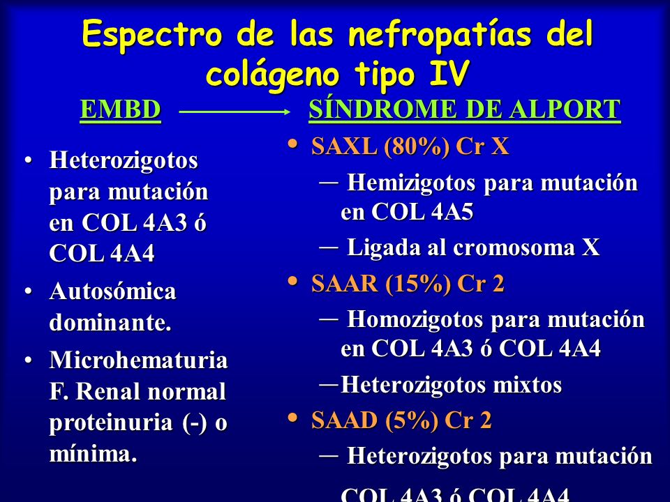 Espectro de las nefropatías del colágeno tipo IV
