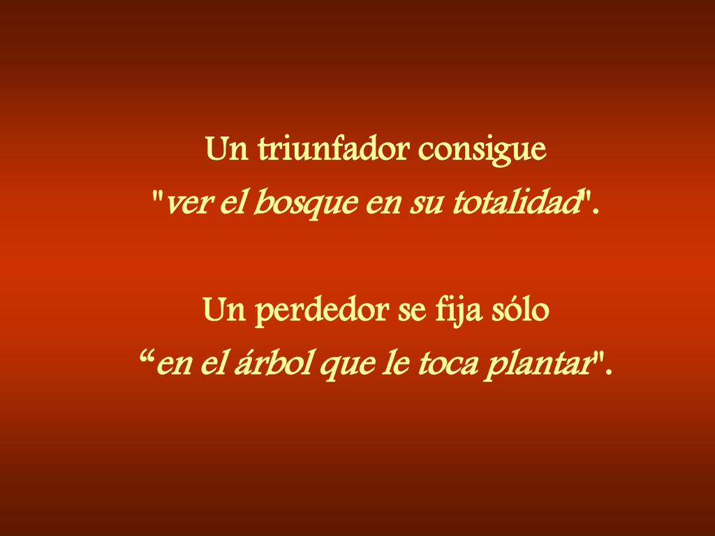 Un triunfador consigue ver el bosque en su totalidad .