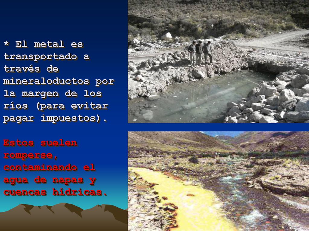 * El metal es transportado a través de mineraloductos por la margen de los ríos (para evitar pagar impuestos).