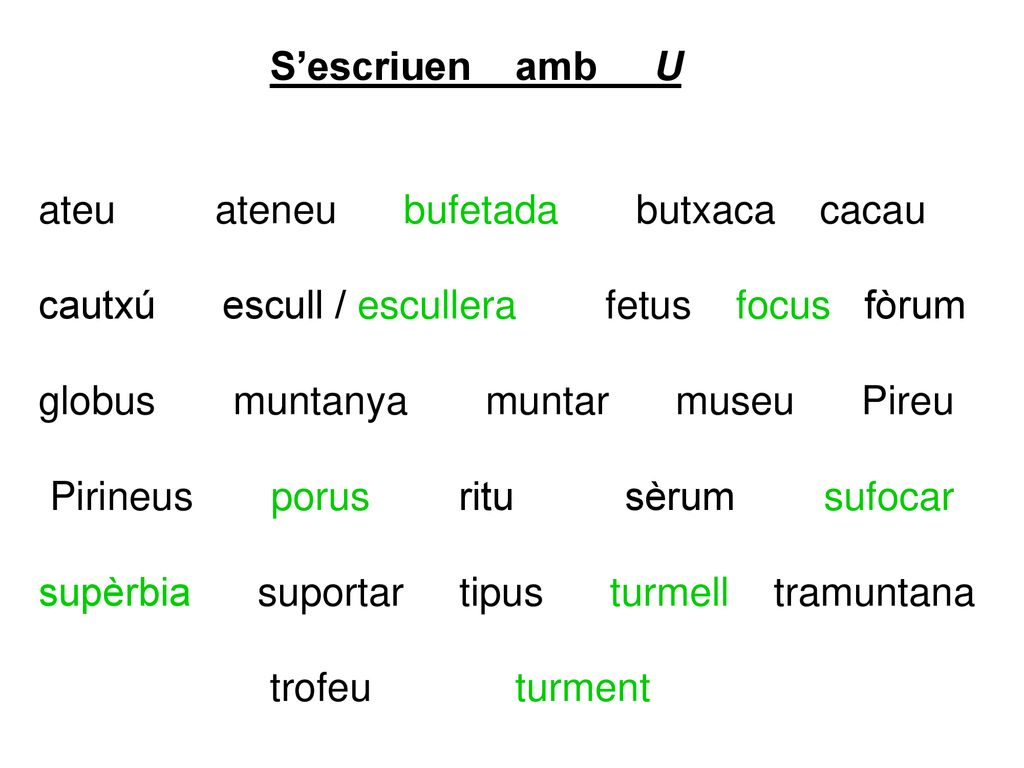S’escriuen amb U ateu ateneu bufetada butxaca cacau. cautxú escull / escullera fetus focus fòrum.