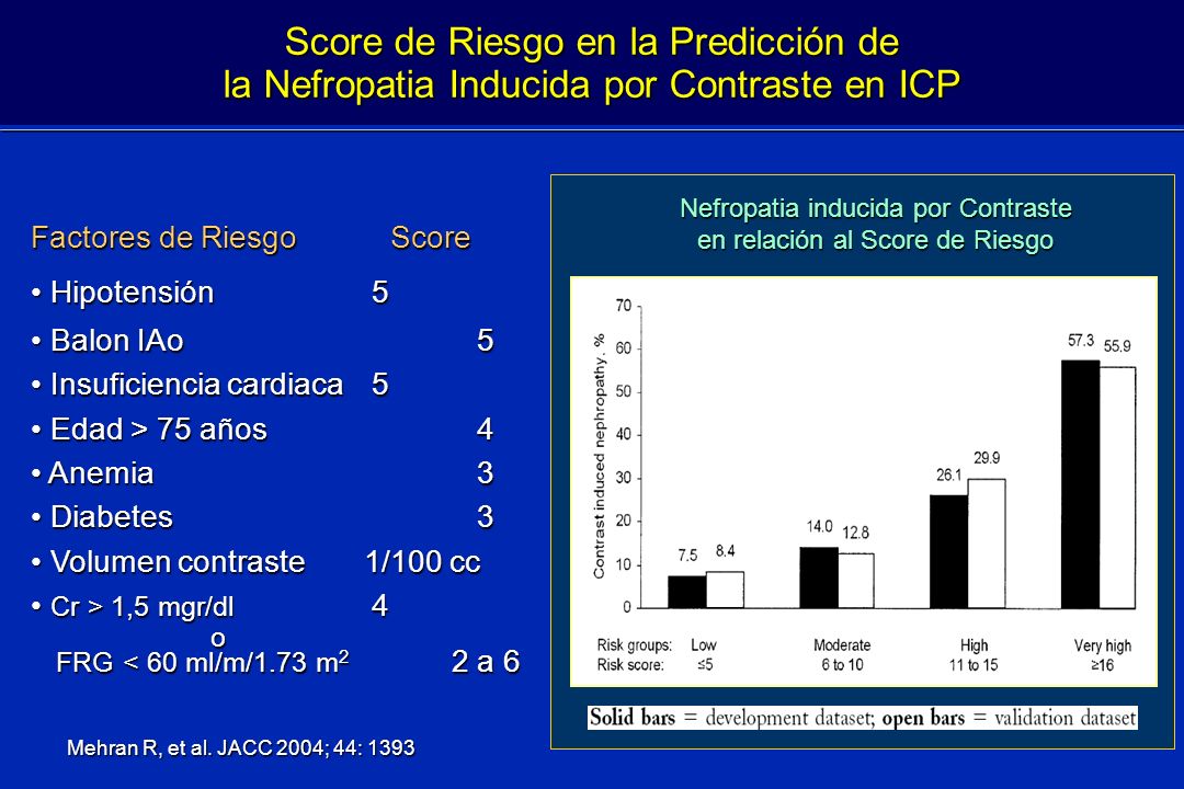Score de Riesgo en la Predicción de