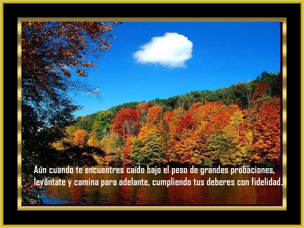 Aún cuando te encuentres caído bajo el peso de grandes probaciones, levántate y camina para adelante, cumpliendo tus deberes con fidelidad.
