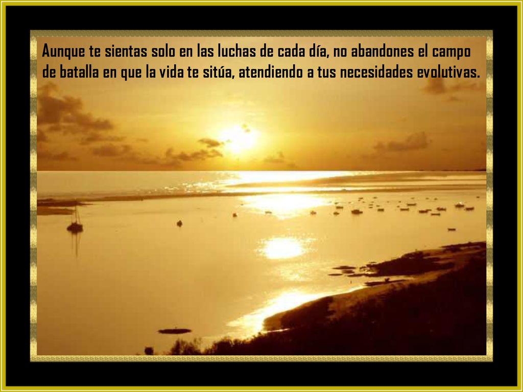 Aunque te sientas solo en las luchas de cada día, no abandones el campo de batalla en que la vida te sitúa, atendiendo a tus necesidades evolutivas.