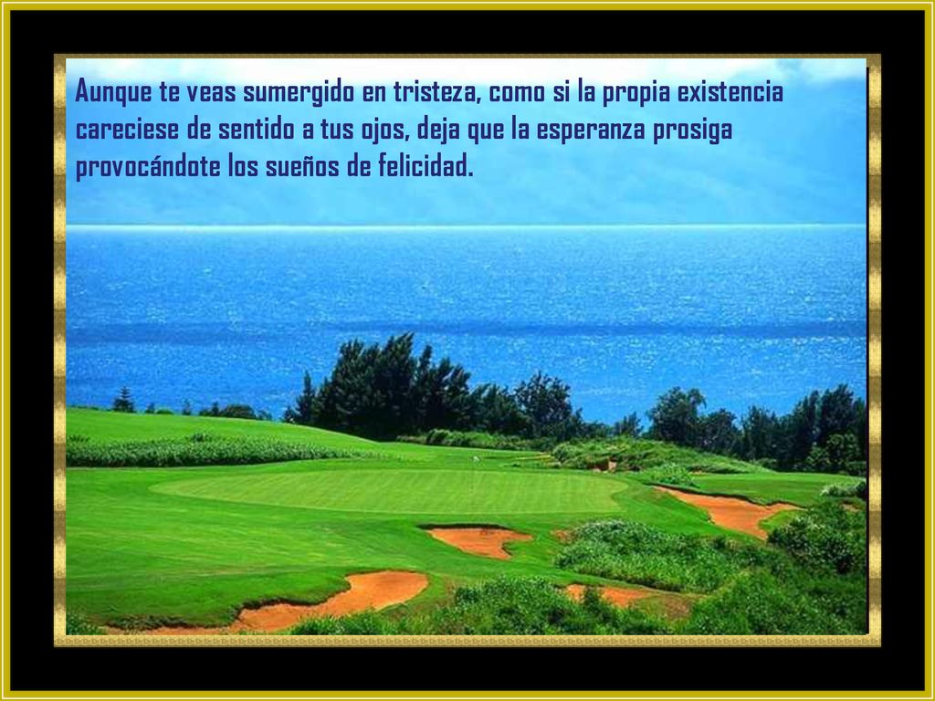 Aunque te veas sumergido en tristeza, como si la propia existencia careciese de sentido a tus ojos, deja que la esperanza prosiga provocándote los sueños de felicidad.