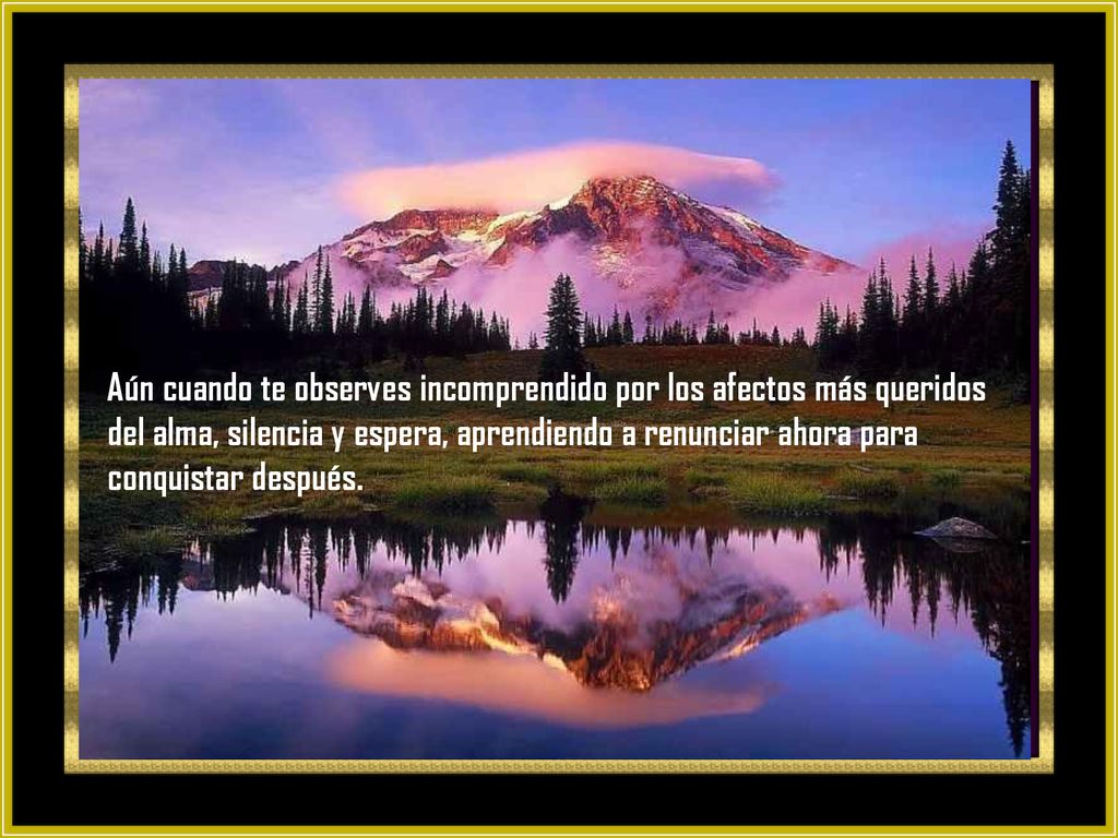 Aún cuando te observes incomprendido por los afectos más queridos del alma, silencia y espera, aprendiendo a renunciar ahora para conquistar después.
