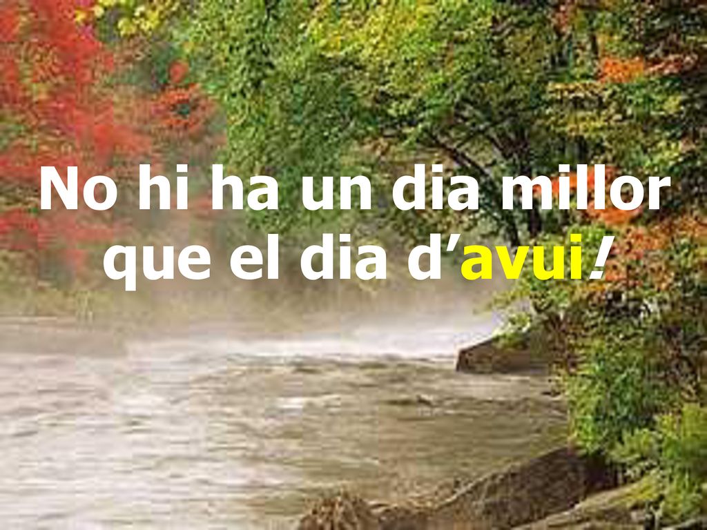 No hi ha un dia millor que el dia d’avui!