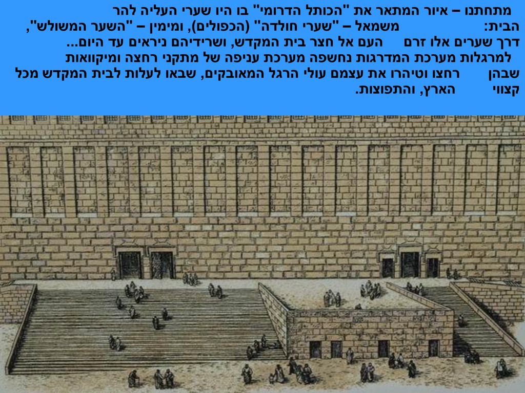 מתחתנו – איור המתאר את הכותל הדרומי בו היו שערי העליה להר הבית: משמאל – שערי חולדה (הכפולים), ומימין – השער המשולש , דרך שערים אלו זרם העם אל חצר בית המקדש, ושרידיהם ניראים עד היום...