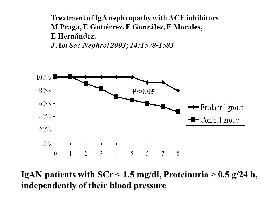 IgAN patients with SCr < 1.5 mg/dl, Proteinuria > 0.5 g/24 h,