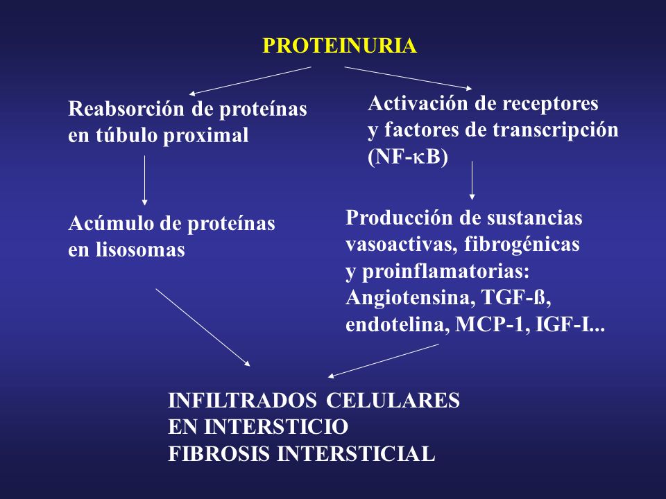 Activación de receptores y factores de transcripción (NF-B)