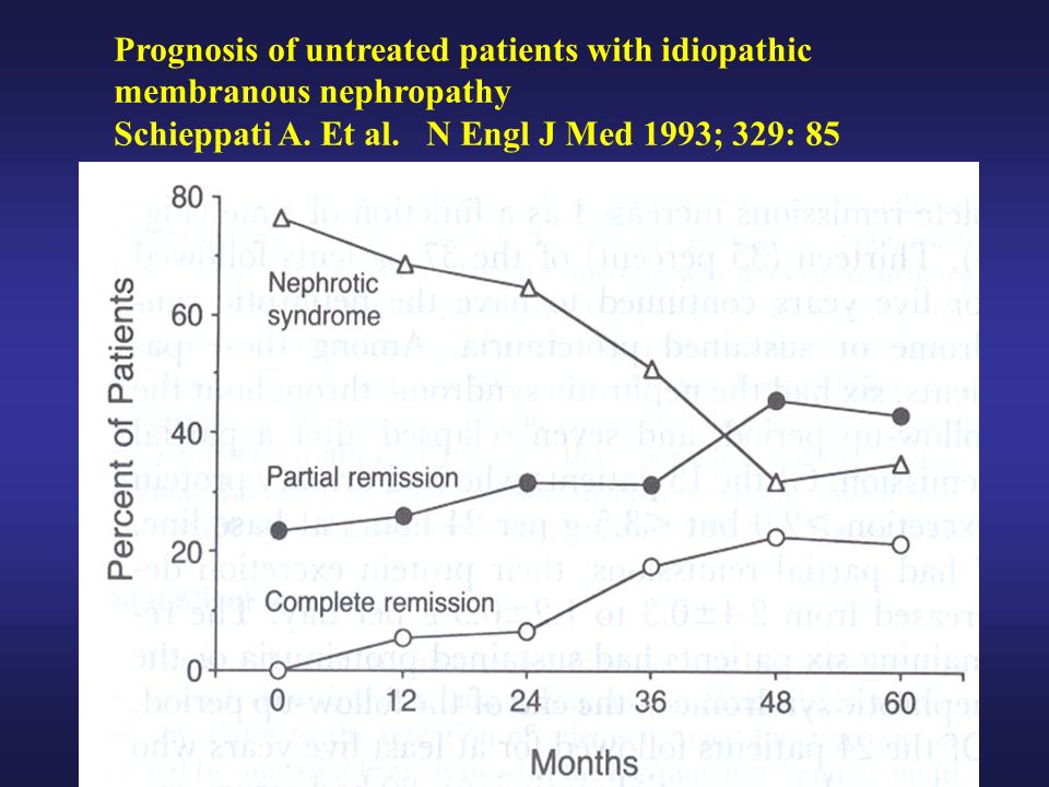Prognosis of untreated patients with idiopathic membranous nephropathy Schieppati A.