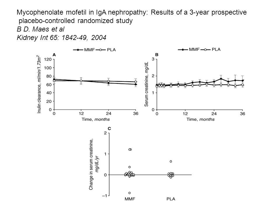 Mycophenolate mofetil in IgA nephropathy: Results of a 3-year prospective