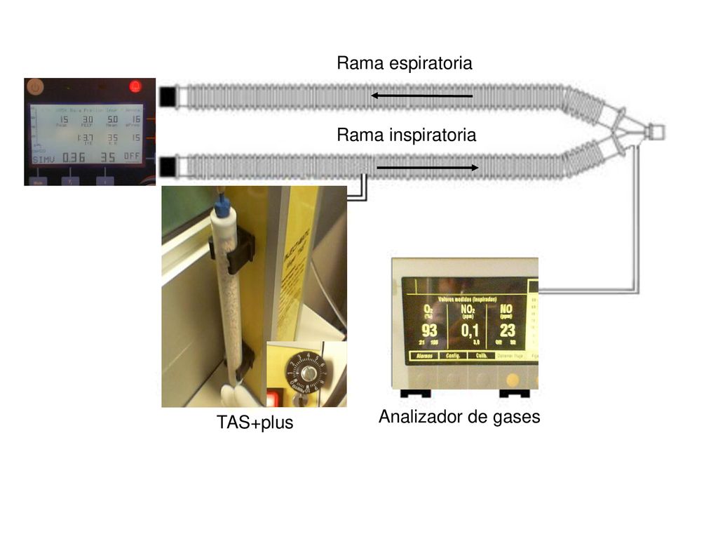 Analizador de gases TAS+plus Rama inspiratoria Rama espiratoria