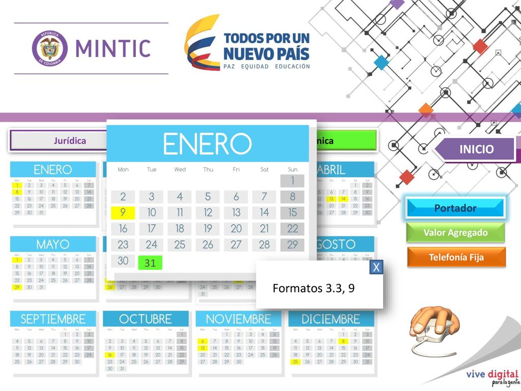 INICIO X Formatos 3.3, 9 Portador 31 Jurídica Financiera Técnica