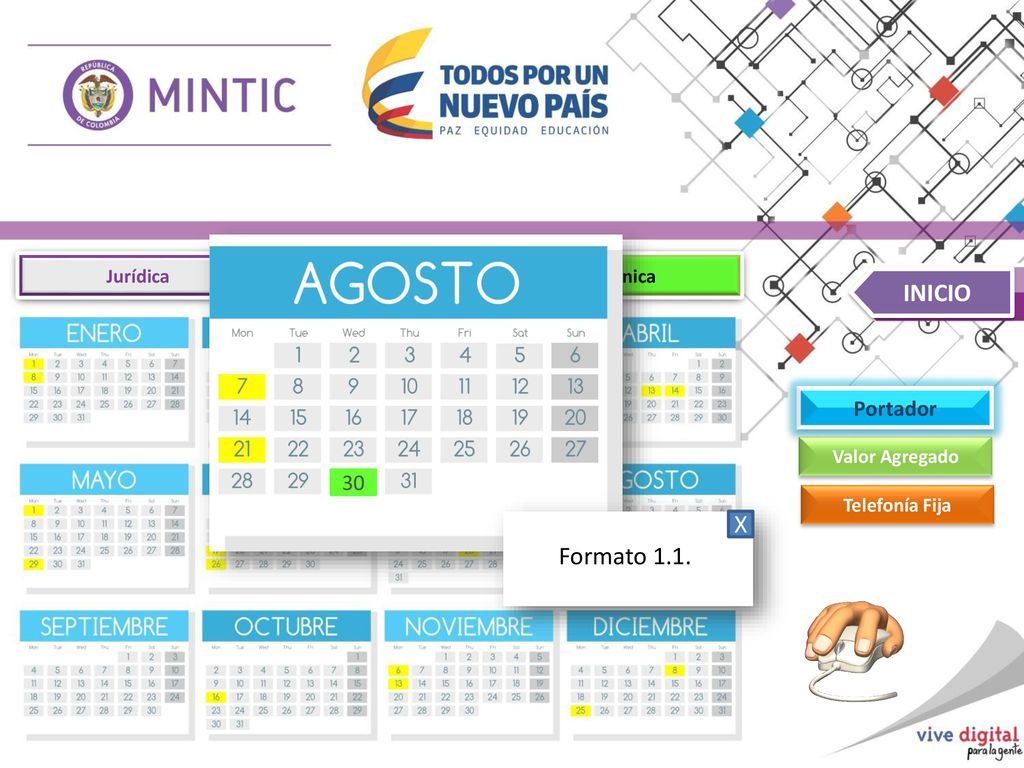 INICIO X Formato 1.1. Portador 30 Jurídica Financiera Técnica