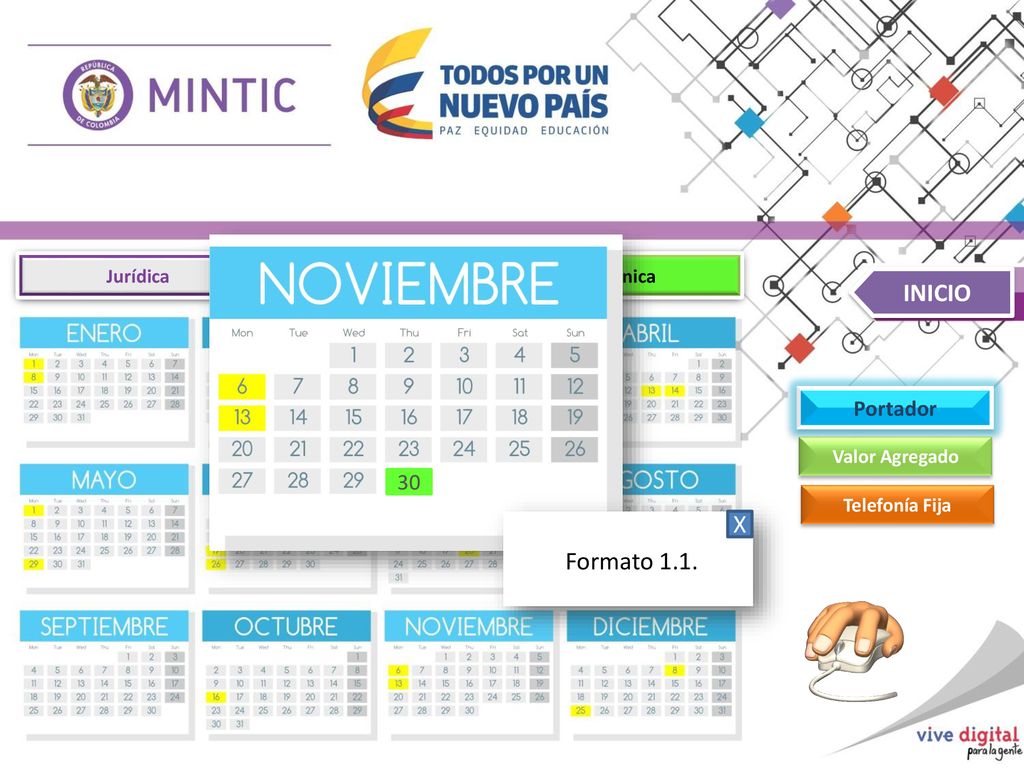 INICIO X Formato 1.1. Portador 30 Jurídica Financiera Técnica