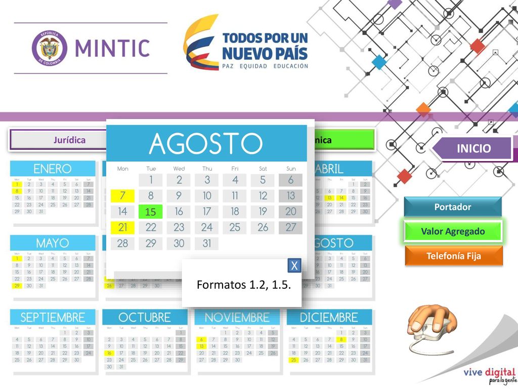 INICIO X Formatos 1.2, Jurídica Financiera Técnica Portador