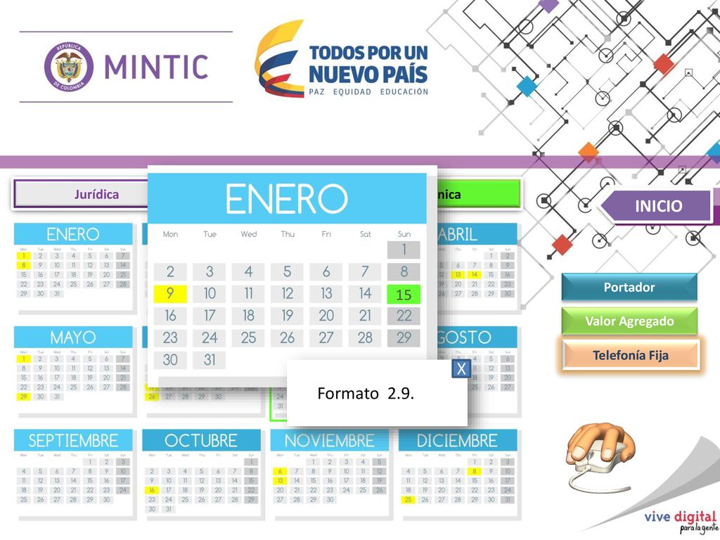 INICIO X Formato Jurídica Financiera Técnica Portador