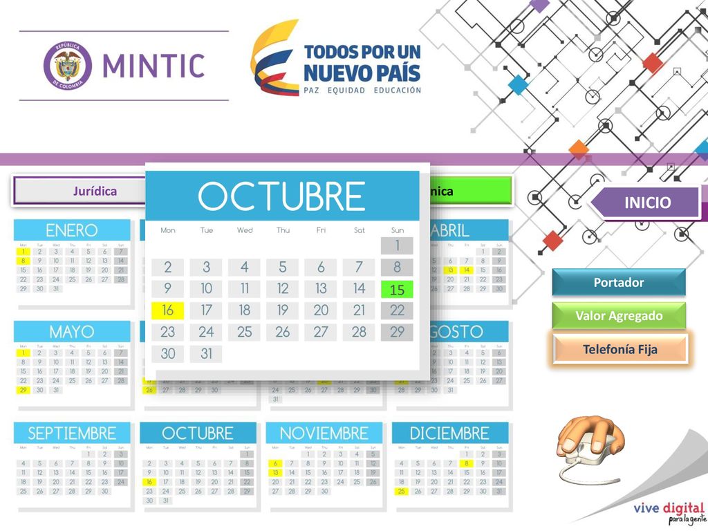 INICIO 15 Jurídica Financiera Técnica Portador Valor Agregado