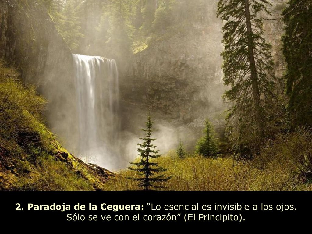 2. Paradoja de la Ceguera: Lo esencial es invisible a los ojos