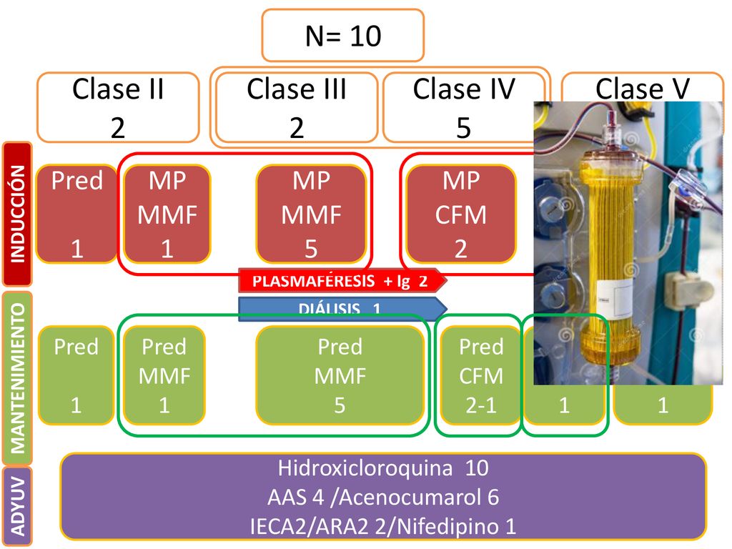 N= 10 Clase II 2 Clase III 2 Clase IV 5 Clase V 1 Pred 1 MP MMF 1 MP